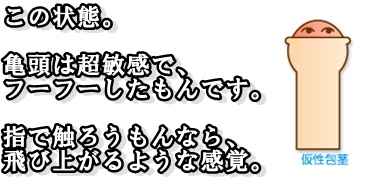 仮性包茎亀頭